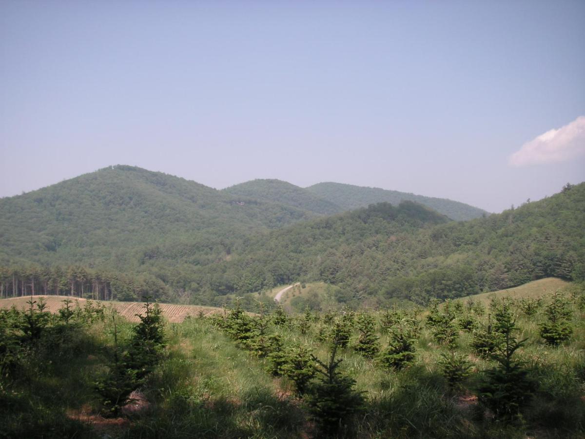 Arrowmont Stables & Cabins Cullowhee Kültér fotó