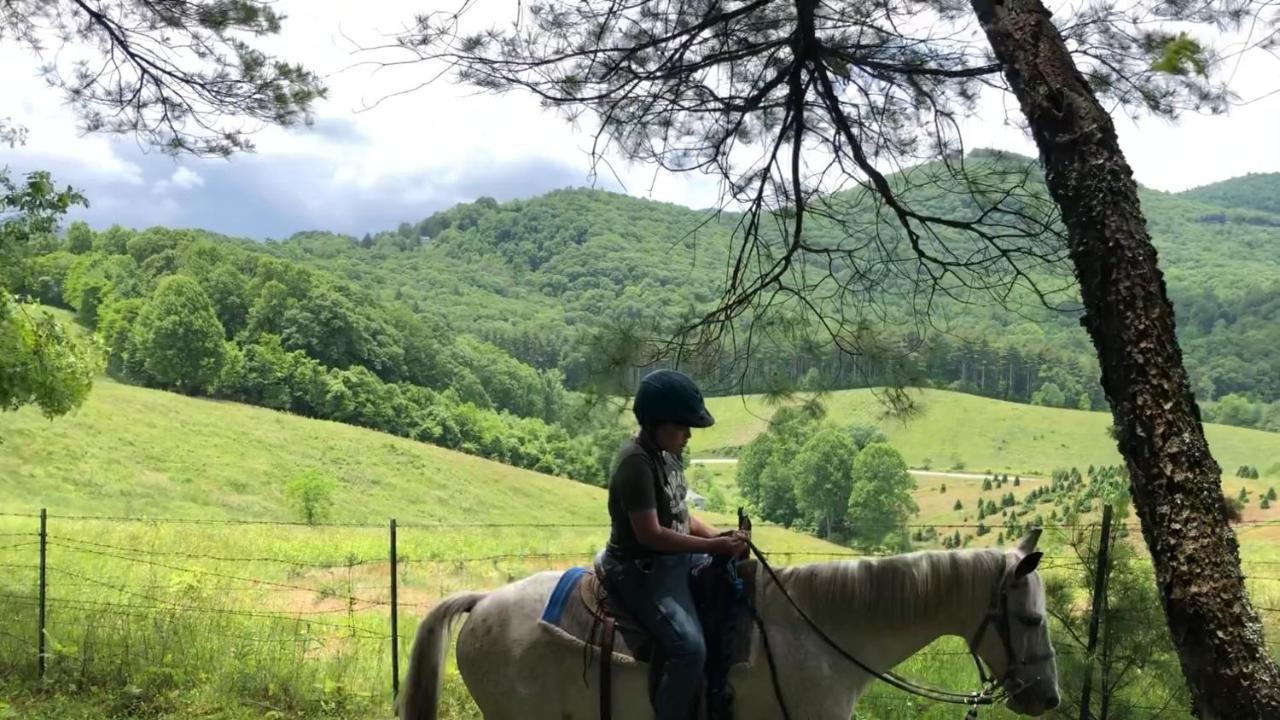 Arrowmont Stables & Cabins Cullowhee Kültér fotó