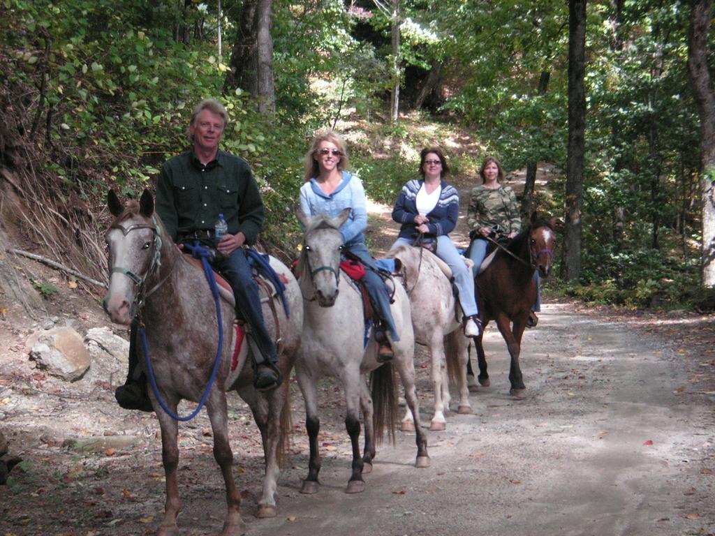Arrowmont Stables & Cabins Cullowhee Kültér fotó