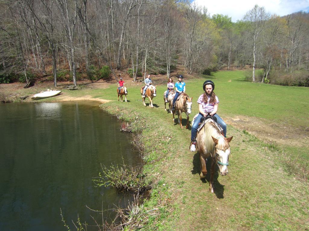 Arrowmont Stables & Cabins Cullowhee Kültér fotó