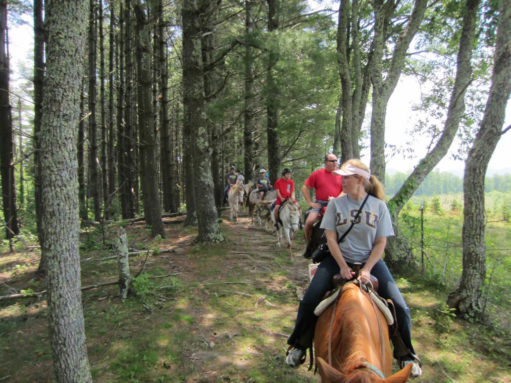 Arrowmont Stables & Cabins Cullowhee Kültér fotó
