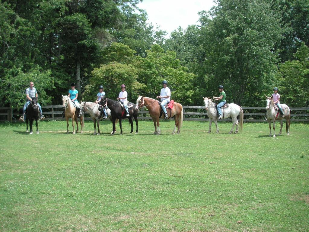 Arrowmont Stables & Cabins Cullowhee Kültér fotó